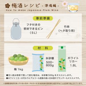 完熟 南高梅 3〜4Lサイズ 2kg 秀品の詳細画像3