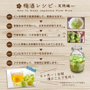 完熟 南高梅 3〜4Lサイズ 2kg 秀品の詳細画像4