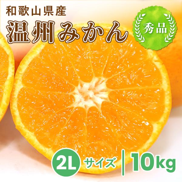 温州みかん 秀品 2Lサイズ 10kg 和歌山県産 産地直送