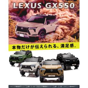 AIJYU TOYS 電動乗用ラジコン 2人乗...の詳細画像2