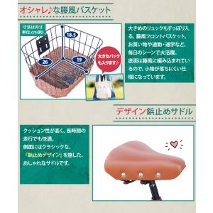 アイジュサイクル 折りたたみ自転車 20インチ...の詳細画像4
