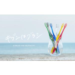 ハミガキ デイシーンホワイト+F100g 10個セット 送料無料