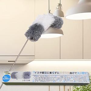 ほこりとり ハンディモップ  はたき ホコリ取りブラシ