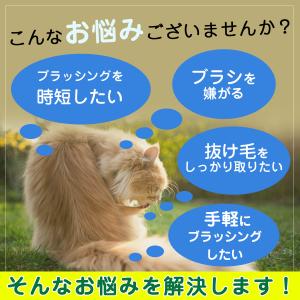 ペットブラシ グルーミング グローブ 猫 犬 ...の詳細画像5