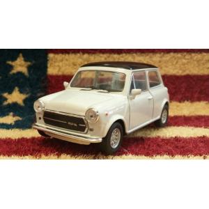 イクソ 1/43 シトロエン C3 ラリー2 