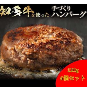 知多牛 ハンバーグ １５０ｇ ６個　｜aiwabussann