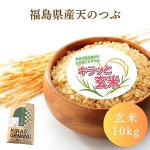 福島県産天のつぶ 玄米 10kg(10kg×1袋...の商品画像