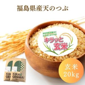 福島県産天のつぶ 玄米 20kg(10kg×2袋) 令和7年産 送料無料 米 20kg お米 20kg キラッと玄米 (沖縄・離島 別途送料+1100円)