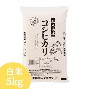 コシヒカリ 米 5kg 福島県産 お米 7年産 会津産 送料無料 『令和7年