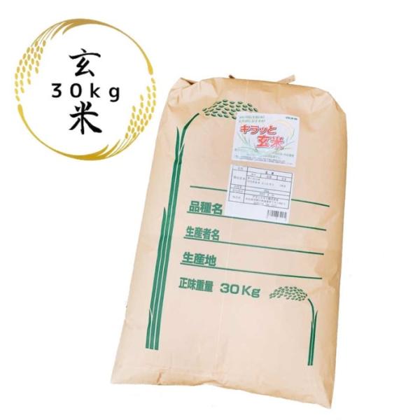 玄米 30kg 令和5年産 茨城県産コシヒカリ 30kg(30kg×1袋) 送料無料 米 お米 30...
