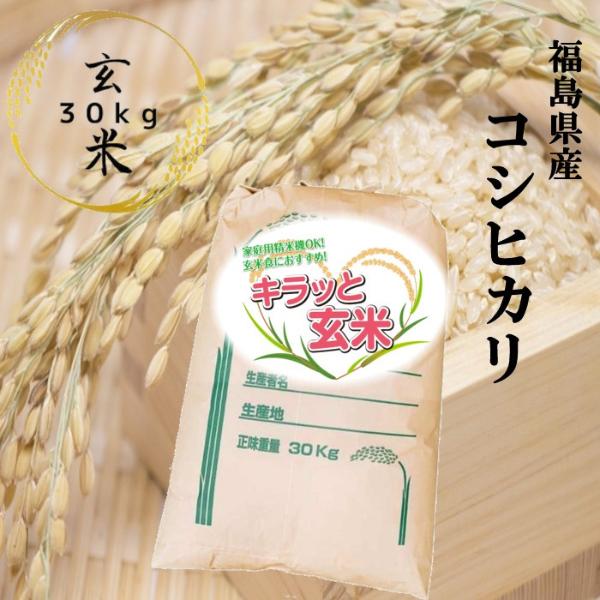 玄米 30kg 令和5年産 福島県産コシヒカリ 30kg(30kg×1袋) 送料無料 こしひかり (...