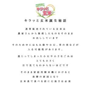 令和7年産 福島県会津産ひとめぼれ 玄米 送料...の詳細画像4