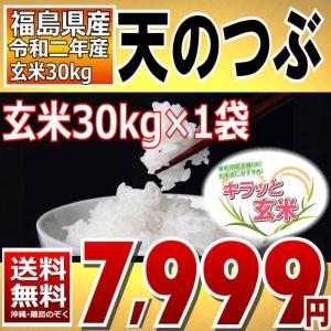 天のつぶ お米 30kg キラッと玄米 福島県産 令和二年産 調製済玄米 送料無料 通常発送