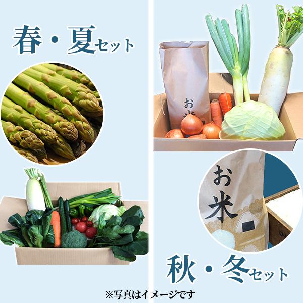 喜多方アスパラ野菜セット（小）6回（8〜10品目）2名様1週間分相当