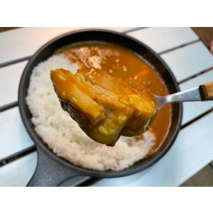 ごろごろ豚角煮贅沢カレー210g×2個 レトル...の詳細画像3