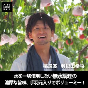 福島の桃 水を一切使わず果実と野菜の水分のみで...の詳細画像3