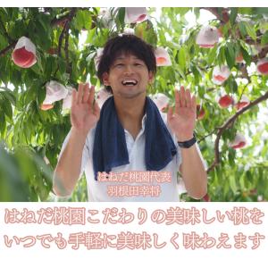 福島の桃 もものシーザードレッシング 3本セッ...の詳細画像2