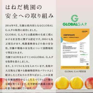 福島の桃 もものシーザードレッシング 3本セッ...の詳細画像3