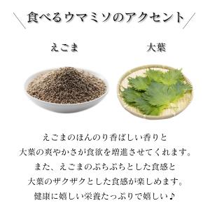 ご飯のお供 会津 馬肉物語 食べるウマミソ 2...の詳細画像4