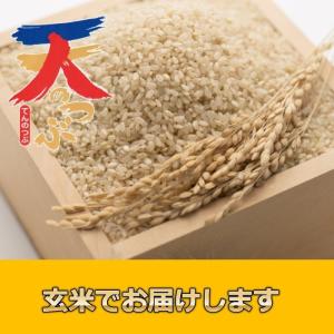 米 お米 5kg×4袋 玄米 ５年産新米 会津米 天のつぶ 一等米使用 送料別料金 ふくしまプライド。体感キャンペーン（お米）20kg コメ｜aizukome