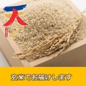 米 お米 5kg 玄米 ４年産 会津米 天のつぶ 一等米使用