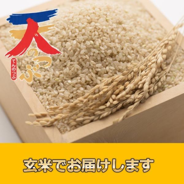 米 お米 5kg 玄米 ５年産 会津米 天のつぶ 一等米使用   関東・甲信越地方までの本州地域送料...