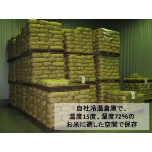 【生活応援セール】令和7年産 10kg(5kg...の詳細画像2