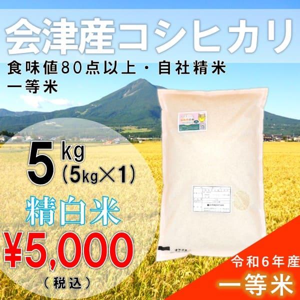 令和5年産 5kg白米 コシヒカリ 会津産 一等米（産地直送・送料無料地域あり）