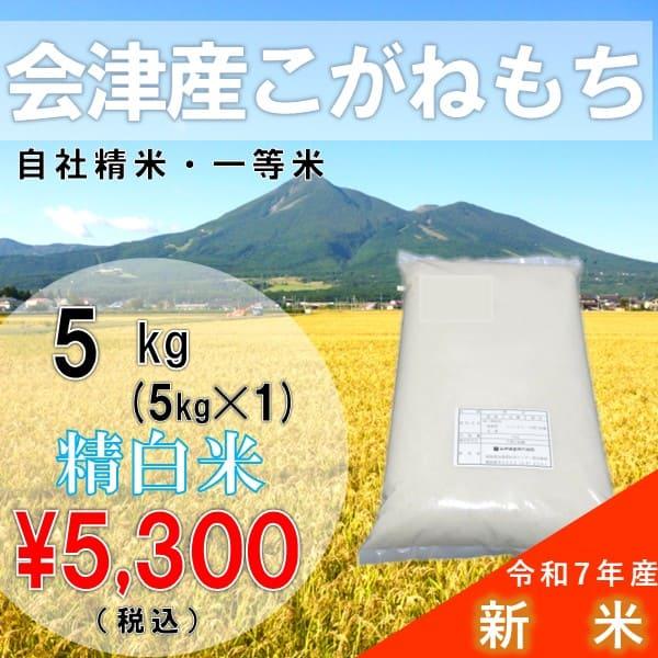 令和7年産 5kg 白米 福島県産 こがねもち もち米 （産地直送・送料無料地域あり） 年末年始　お...