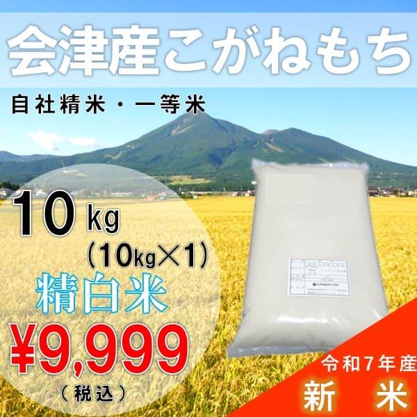 令和7年産 10kg 白米 福島県産 こがねもち もち米 （産地直送・送料無料地域あり） 年末年始　...