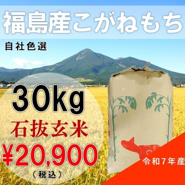 【完売しました】令和7年産 30kg 玄米 石抜色選 福島県産 こがねもち もち米 産地直送 送料無...