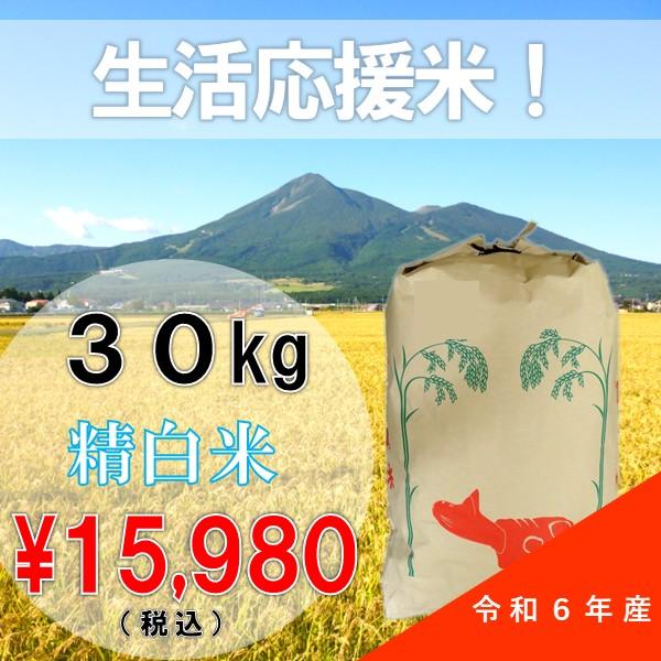 【数量限定！】生活応援米 令和6年産 30kg 白米 ブレンド米 会津産 訳あり （送料無料地域あり...