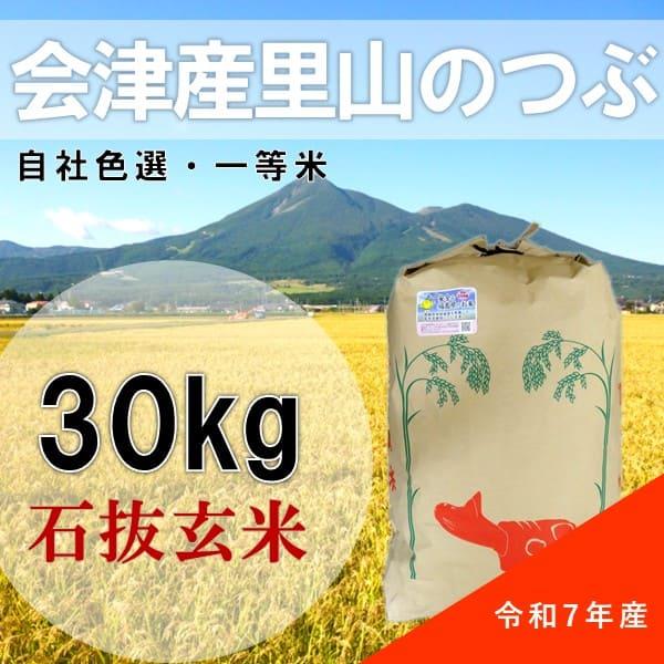【生活応援セール】令和7年産 会津 里山のつぶ 30kg 玄米 石抜色選 1等 福島県産 送料無料地...