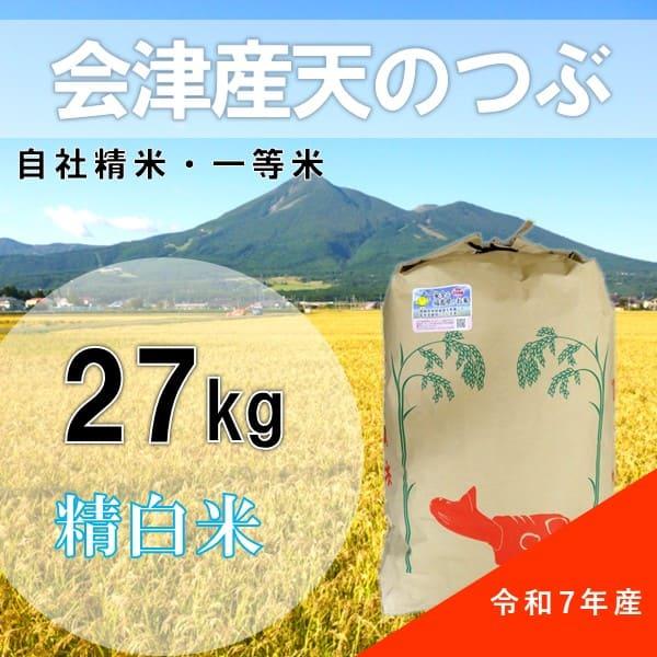 【数量限定セール】令和7年産 会津 天のつぶ 27kg 白米 石抜色選 1等 福島県産 送料無料地域...