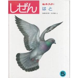 古本）ビー玉の街 昭和30年代なつかし画集 毛利フジオ グラフィック社