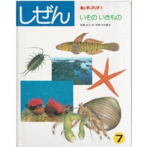 古本）キンダーブック しぜん くも 塚本治弘 フレーベル館 J00031