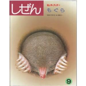 古本）キンダーブック しぜん くも 塚本治弘 フレーベル館 J00031