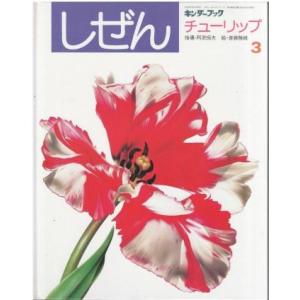 古本）ビー玉の街 昭和30年代なつかし画集 毛利フジオ グラフィック社