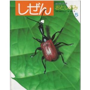 古本）ビー玉の街 昭和30年代なつかし画集 毛利フジオ グラフィック社