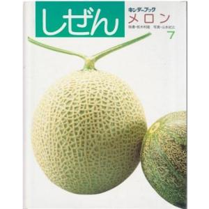 古本）ビー玉の街 昭和30年代なつかし画集 毛利フジオ グラフィック社