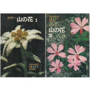 古本）大菩薩峠 全12冊組 中里介山 全巻函付き 筑摩書房 NA5041