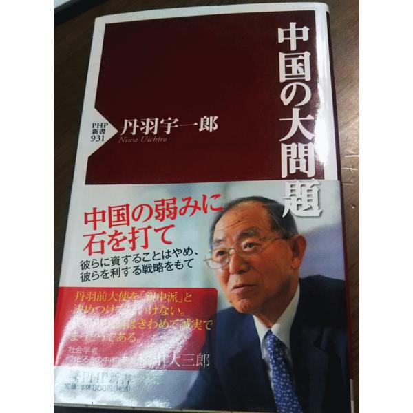 （古本）中国の大問題 丹羽宇一郎 PHP研究所 S00793 20140627発行