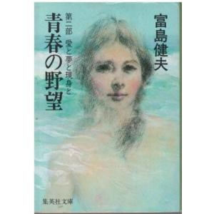 古本）碧眼の少年 魅魎暗躍譚 前編 前田珠子 集英社 MA0111 19910320