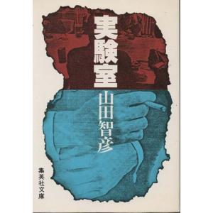 古本）碧眼の少年 魅魎暗躍譚 前編 前田珠子 集英社 MA0111 19910320