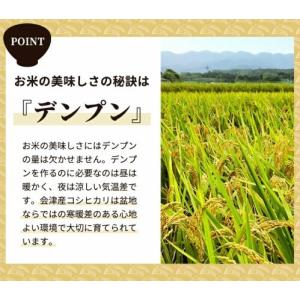 令和7年産 お米 会津産コシヒカリ 10kg(...の詳細画像2