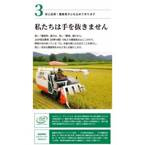 令和7年産 お米 会津産コシヒカリ 10kg(...の詳細画像3