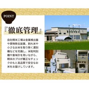 令和7年産 お米 会津産コシヒカリ 10kg(...の詳細画像4