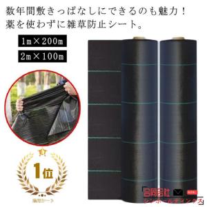 草 草除け 2m×100m 除草シート 草よけ 芝生 庭 農用シート 雑草 防草シート 人工芝 1m×200m 駐車場 防草シート 雑草防止 雑草対策