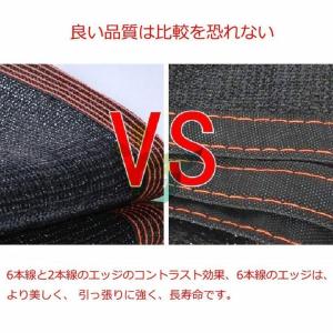 遮光ネット 遮光ネット 寒冷紗 黒 日除け シ...の詳細画像4