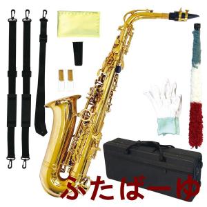 Eastar アルトサックス お手入れセット、スタンド付き AS-||| 500円クーポン配布中】アルトサックス 初心者セット E Saxophone